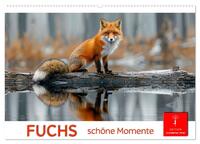 Fuchs - schöne Momente (Wandkalender 2026 DIN A2 quer), CALVENDO Monatskalender