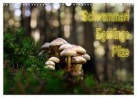 Schwammerl Egerlinge Pilze (Wandkalender 2025 DIN A3 quer), CALVENDO Monatskalender