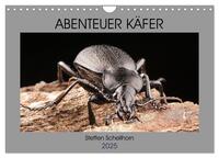 ABENTEUER KÄFER (Wandkalender 2025 DIN A4 quer), CALVENDO Monatskalender