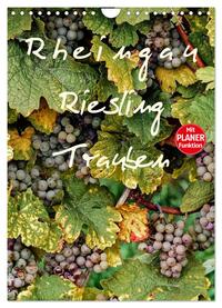 Rheingau - Riesling Trauben (Wandkalender 2025 DIN A4 hoch), CALVENDO Monatskalender