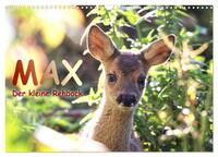 Max, der kleine Rehbock (Wandkalender 2026 DIN A3 quer), CALVENDO Monatskalender