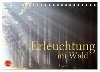 Erleuchtung im Wald (Tischkalender 2026 DIN A5 quer), CALVENDO Monatskalender