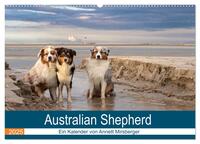 Australian Shepherd 2025 (Wandkalender 2025 DIN A2 quer), CALVENDO Monatskalender