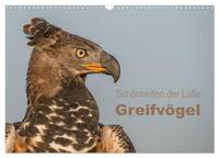 Vorderes Coverbild Schönheiten der Lüfte - Greifvögel (Wandkalender 2025 DIN A3 quer), CALVENDO Monatskalender