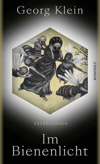 Vorderes Coverbild Im Bienenlicht
