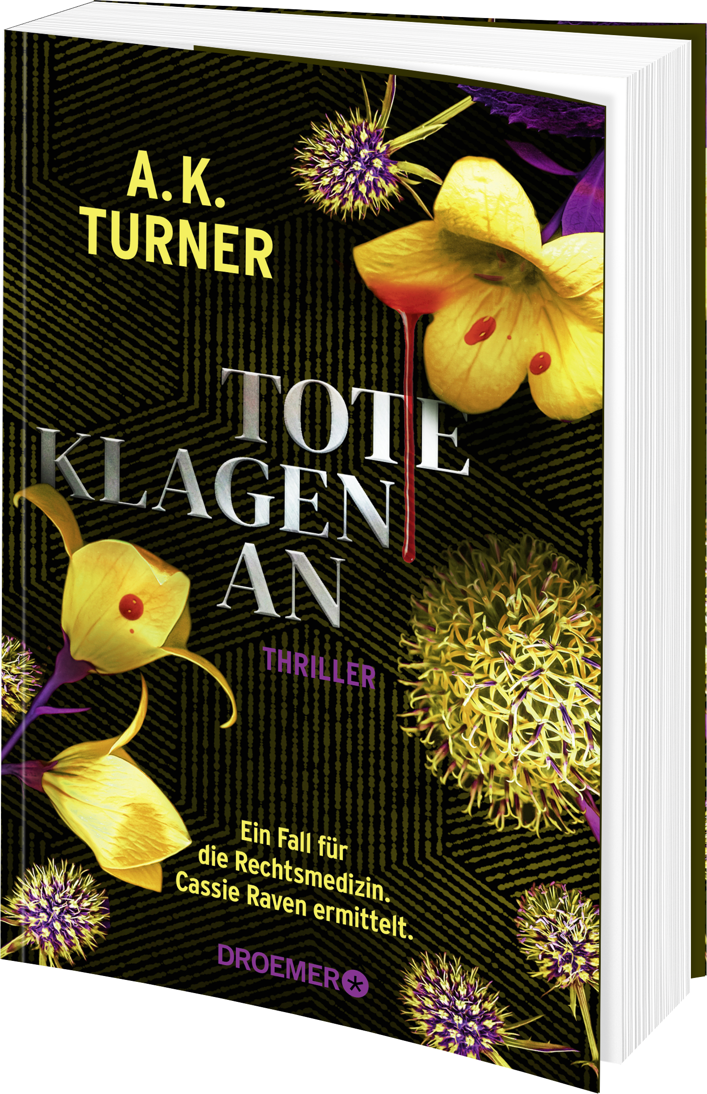 Tote klagen an