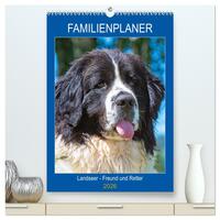 Familienplaner Landseer - Freund und Retter (hochwertiger Premium Wandkalender 2026 DIN A2 hoch), Kunstdruck in Hochglanz