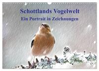 Schottlands Vogelwelt - Ein Porträt in Zeichnungen (Wandkalender 2026 DIN A3 quer), CALVENDO Monatskalender