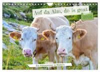 Bergstille – Momente auf der Alm (Wandkalender 2026 DIN A4 quer), CALVENDO Monatskalender