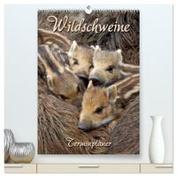 Wildschweine (hochwertiger Premium Wandkalender 2026 DIN A2 hoch), Kunstdruck in Hochglanz