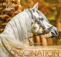 Fascination 2020