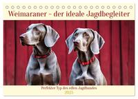 Weimaraner - der ideale Jagdbegleiter (Tischkalender 2025 DIN A5 quer), CALVENDO Monatskalender