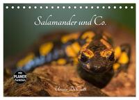Salamander und Co. (Tischkalender 2025 DIN A5 quer), CALVENDO Monatskalender