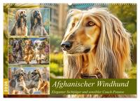 Afghanischer Windhund. Eleganter Sichtjäger und sensibler Couch-Potatoe (Wandkalender 2026 DIN A2 quer), CALVENDO Monatskalender