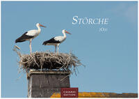 Vorderes Coverbild Störche 2025 S 24x35cm