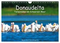 Donaudelta - Tierparadies am Schwarzen Meer (Wandkalender 2026 DIN A4 quer), CALVENDO Monatskalender