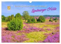 Lüneburger Heide - Wanderung rund um Wilsede und Totengrund (Wandkalender 2025 DIN A3 quer), CALVENDO Monatskalender
