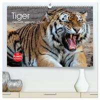 Tiger. Gestreift, wild und schön (hochwertiger Premium Wandkalender 2026 DIN A2 quer), Kunstdruck in Hochglanz