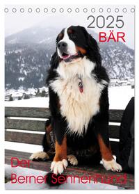 BÄR - Der Berner Sennenhund (Tischkalender 2025 DIN A5 hoch), CALVENDO Monatskalender