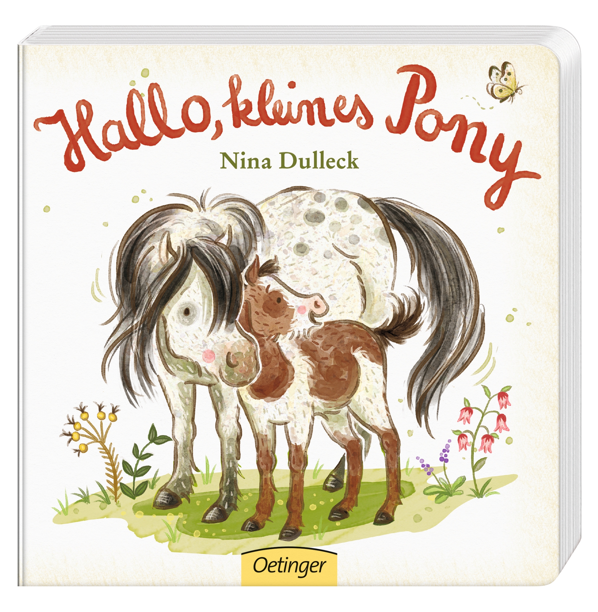 Hallo, kleines Pony