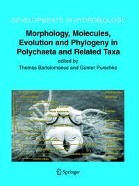 Morphology, Molecules, Evolution and Phylogeny in Polychaeta and Related Taxa