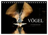 VÖGEL (Tischkalender 2026 DIN A5 quer), CALVENDO Monatskalender