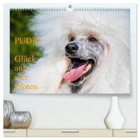 Pudel - Glück auf vier Pfoten (hochwertiger Premium Wandkalender 2025 DIN A2 quer), Kunstdruck in Hochglanz