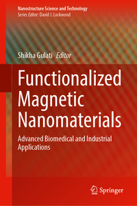 Functionalized Magnetic Nanomaterials