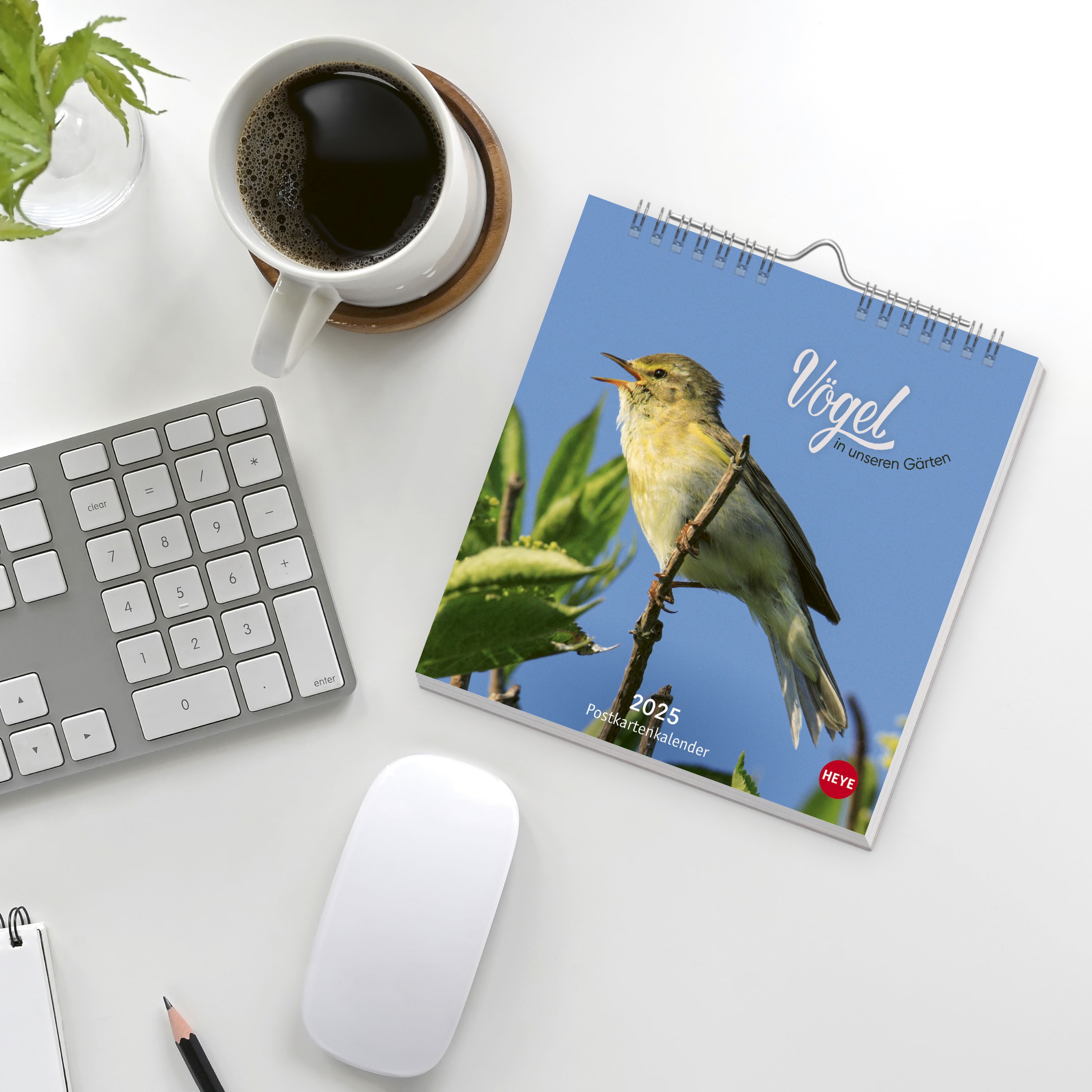 Vögel in unseren Gärten Postkartenkalender 2025