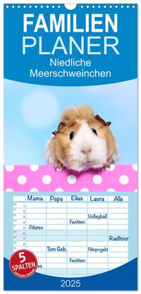 Familienplaner 2025 - Niedliche Meerschweinchen mit 5 Spalten (Wandkalender, 21 x 45 cm) CALVENDO