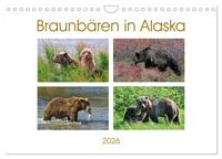 Braunbären in Alaska (Wandkalender 2026 DIN A4 quer), CALVENDO Monatskalender