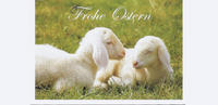 Vorderes Coverbild Frohe Ostern