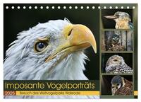 Imposante Vogelporträts (Tischkalender 2025 DIN A5 quer), CALVENDO Monatskalender