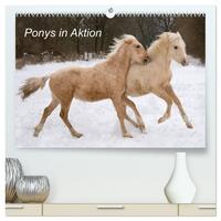 Ponys in Aktion (hochwertiger Premium Wandkalender 2025 DIN A2 quer), Kunstdruck in Hochglanz