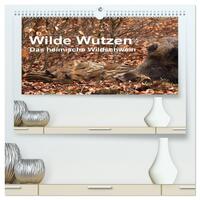 Wilde Wutzen. Das heimische Wildschwein (hochwertiger Premium Wandkalender 2026 DIN A2 quer), Kunstdruck in Hochglanz