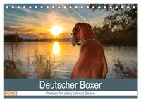 Deutscher Boxer (Tischkalender 2025 DIN A5 quer), CALVENDO Monatskalender