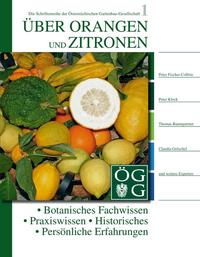 Über Orangen und Zitronen