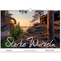 Vorderes Coverbild Starke Wurzeln 2025