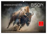 Amerikanischer Bison (Wandkalender 2026 DIN A2 quer), CALVENDO Monatskalender