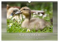 Laufenten - tierisch liebenswerte Zeitgenossen (Wandkalender 2026 DIN A3 quer), CALVENDO Monatskalender