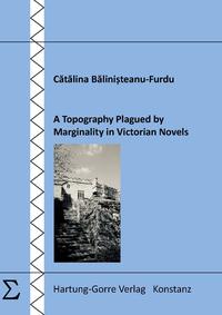 Vorderes Coverbild A Topography Plagued by Marginality in Victorian Novels