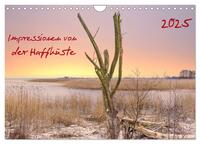 Impressionen von der Haffküste (Wandkalender 2025 DIN A4 quer), CALVENDO Monatskalender