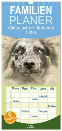 Familienplaner 2025 - Altdeutsche Hütehunde 2025 mit 5 Spalten (Wandkalender, 21 x 45 cm) CALVENDO