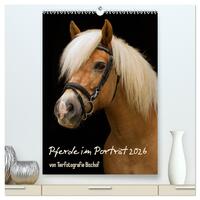 Pferde im Portait (hochwertiger Premium Wandkalender 2026 DIN A2 hoch), Kunstdruck in Hochglanz