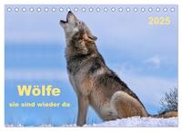 Wölfe - sie sind wieder da (Tischkalender 2025 DIN A5 quer), CALVENDO Monatskalender