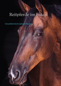 Reitpferde im Fokus