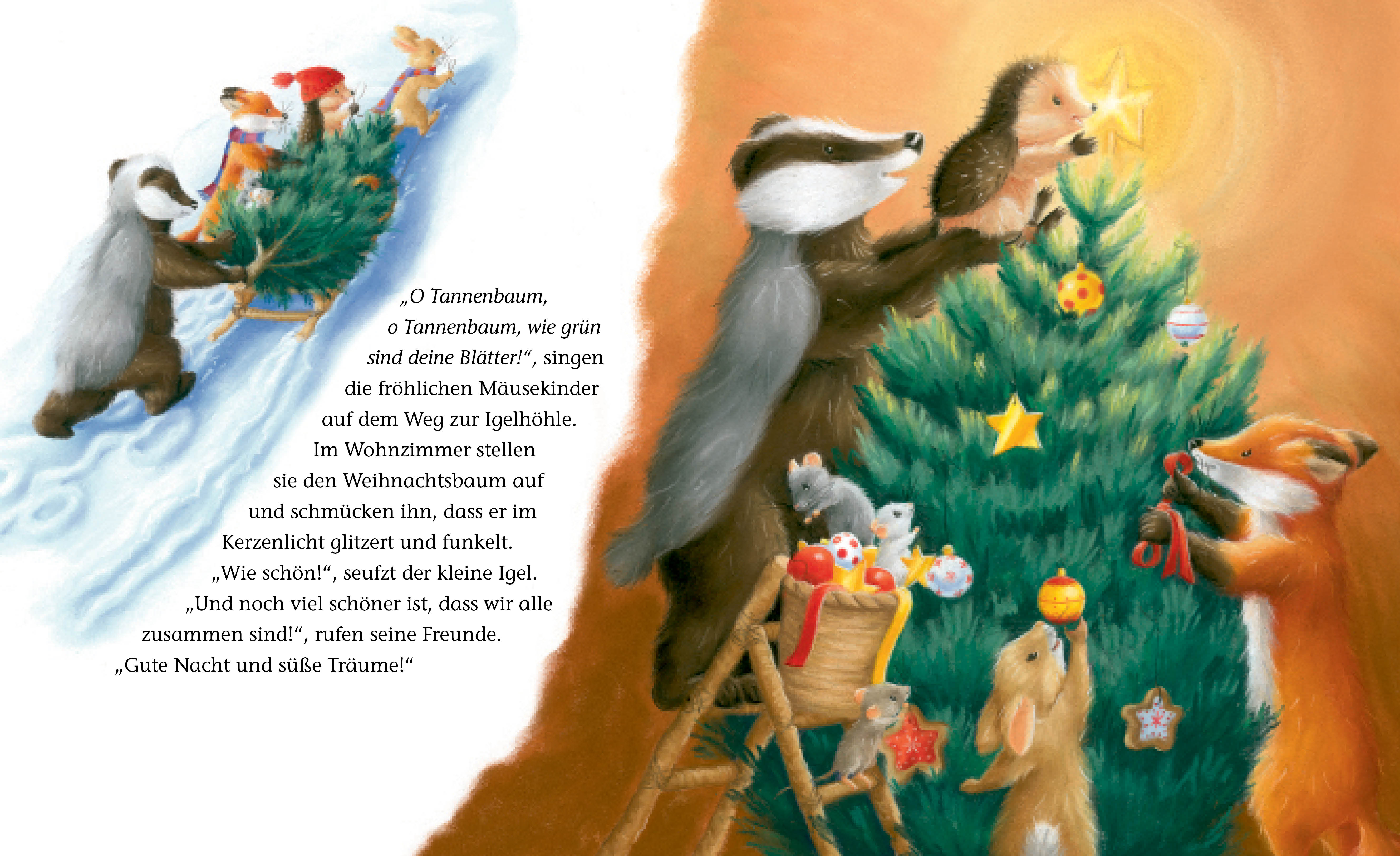 Beispielinhalt (Bild) Der kleine Igel und der Gast im Weihnachtsbaum