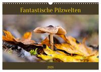 Fantastische Pilzwelten (Wandkalender 2026 DIN A3 quer), CALVENDO Monatskalender