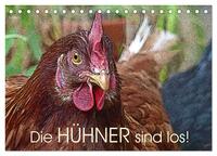 Die Hühner sind los! (Tischkalender 2026 DIN A5 quer), CALVENDO Monatskalender