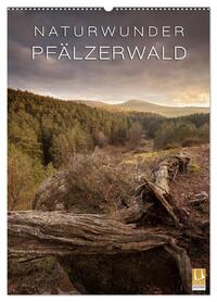 NATURWUNDER PFÄLZERWALD (Wandkalender 2026 DIN A2 hoch), CALVENDO Monatskalender